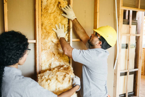 Types of Insulation We Offer in Bluefield, WV